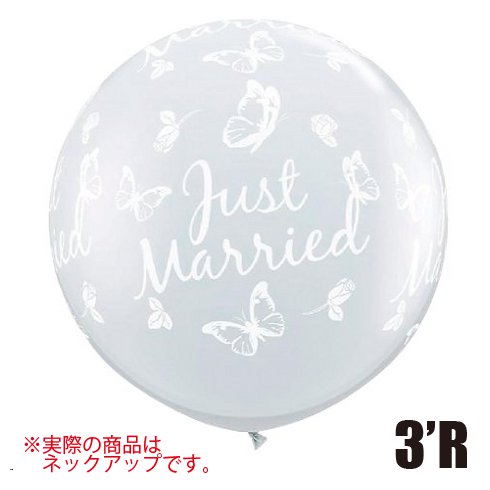 �����䢣�ͥå����å�QL3'R�����㥹�ȥޥ�åɥХ��ե饤���饦��� ���ꥢ��PIN31617