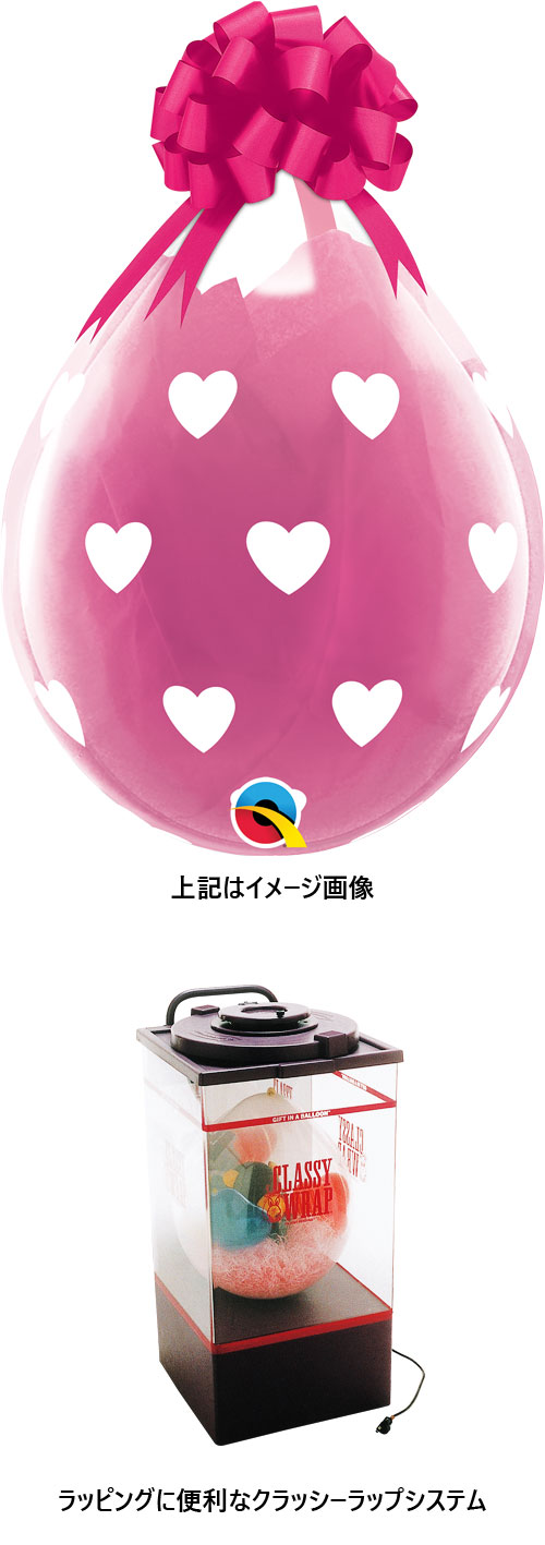 䢣QL18R ӥåϡ 25 PIN38459