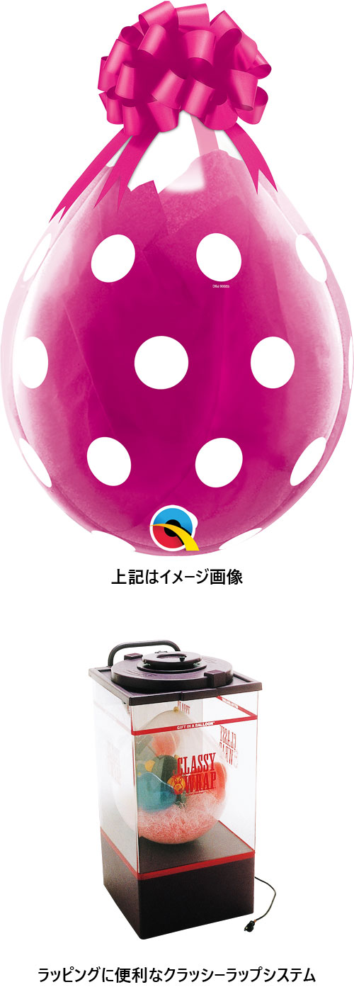 QL18R ӥåݥ륫ɥå 25 PIN37645