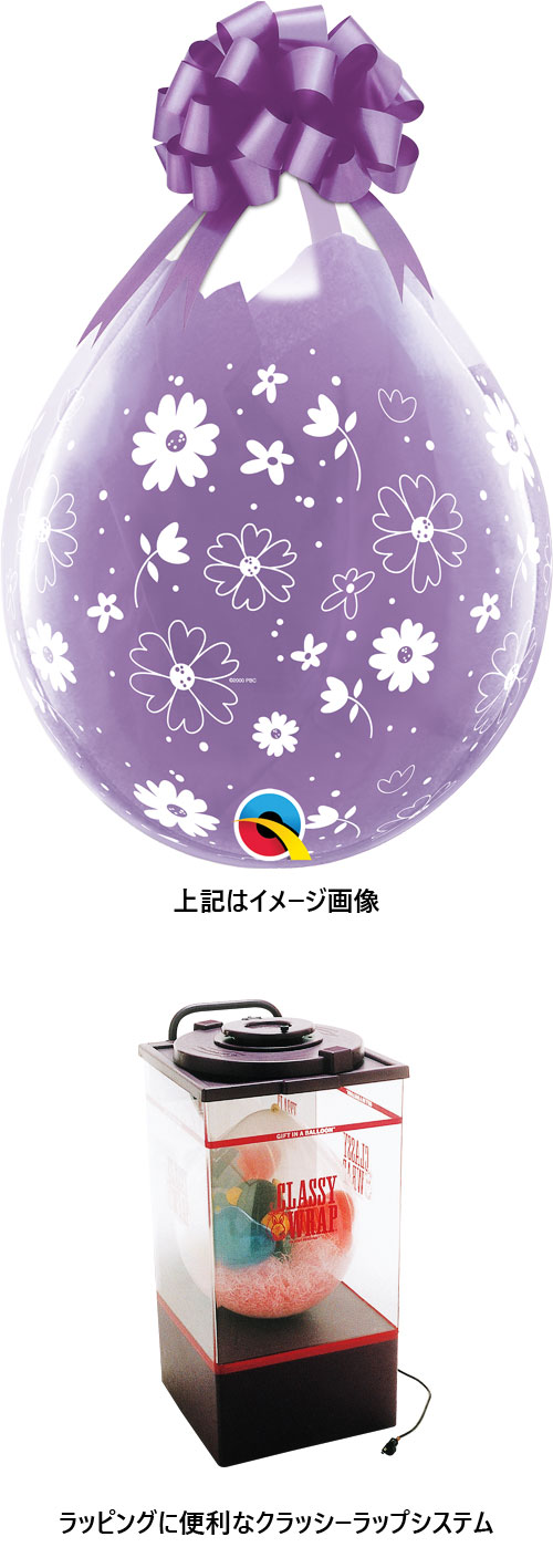 䢣QL18R ǥ&ɥåȥ饦 25 PIN37650