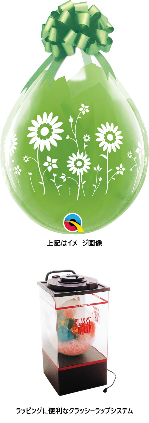 �����䢣QL18�����R �ե������ǥ� 25�� PIN37651