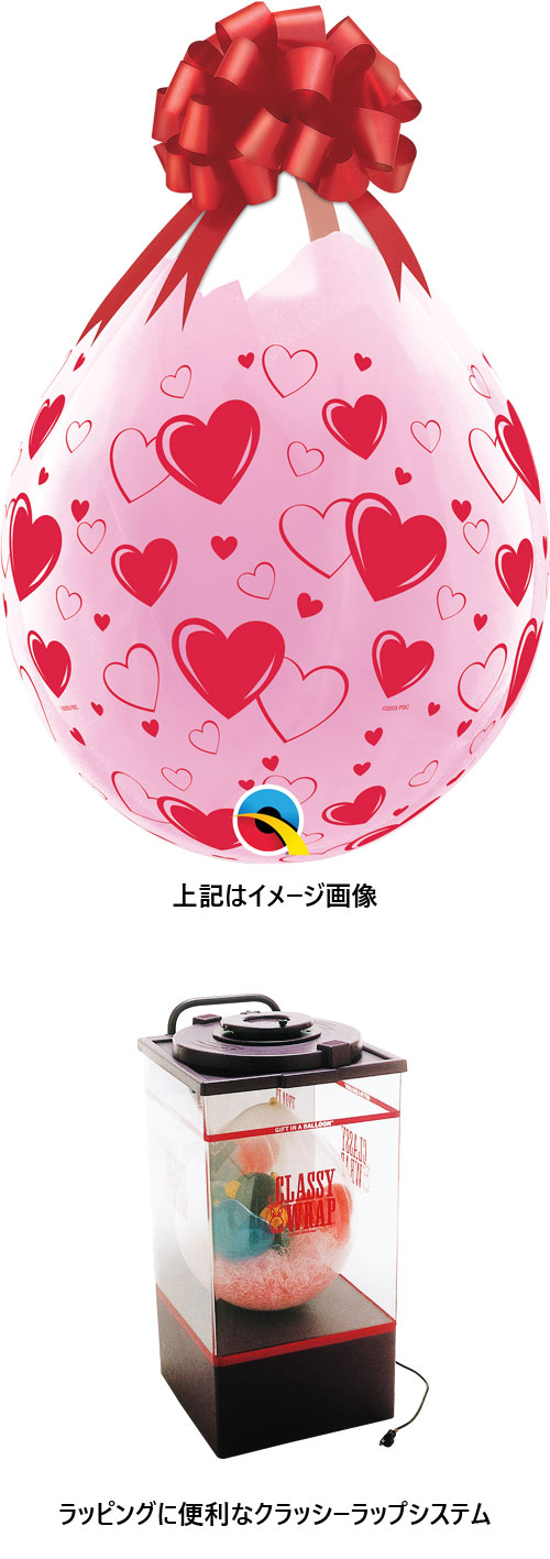 䢣ڤ꤬ȤƥåQL18R ϡ&ϡȥ饦 25 PIN37656