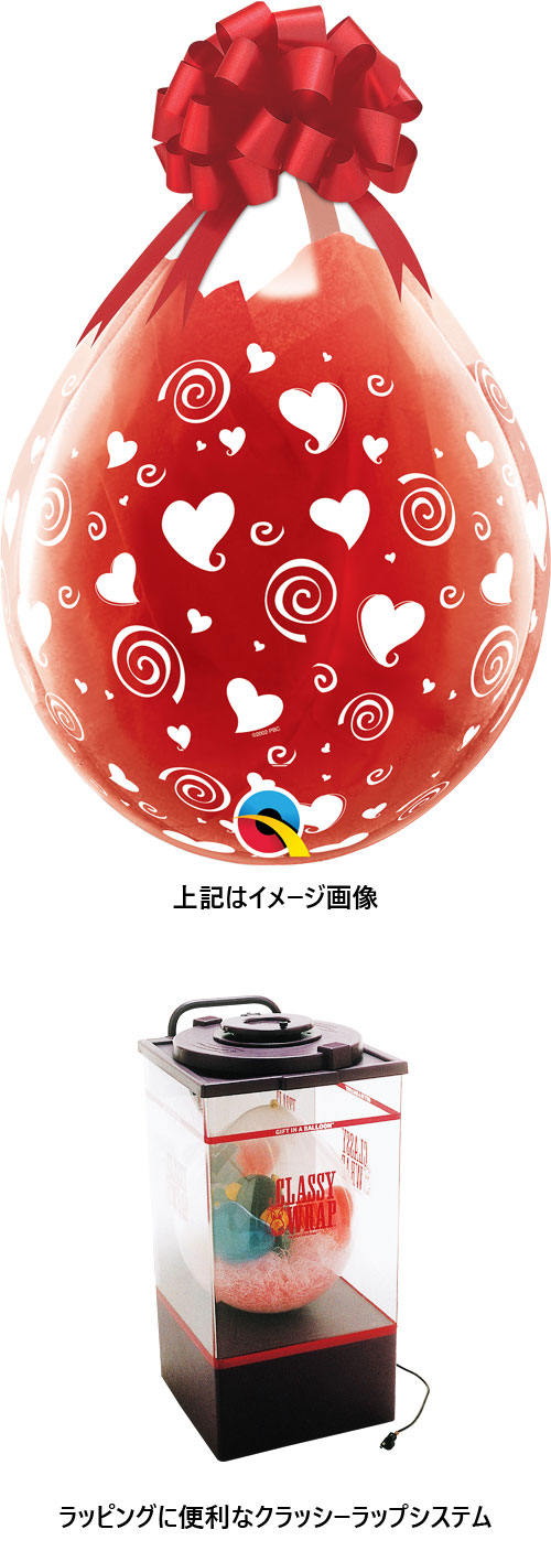 䢣QL18R 󥰥ϡȥ饦 25 PIN37657