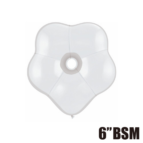 䢣QL6 ֥å ۥ磻 50 PIN37661