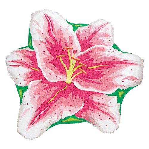 �����䢣MF25"����꡼��PIN77166 ��B4K��