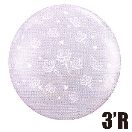 �����䢣�߸˸¤ꢣ���å�2�碣QL3'R���ϡ���&���������饦��� ���ꥢ��PIN28159