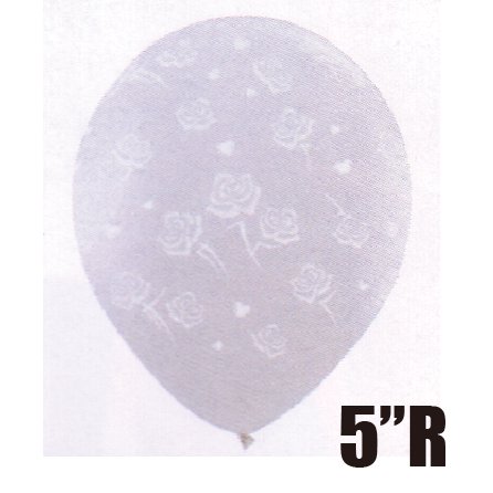 �����䢣QL5"R���ϡ���&���������饦��� ���ꥢ��PIN99313