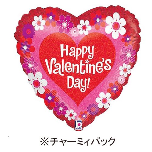 �����䢣���㡼�ߥ��ѥå�18"���Х�󥿥���Х�����֥��Hlg��86535-P��B5R��