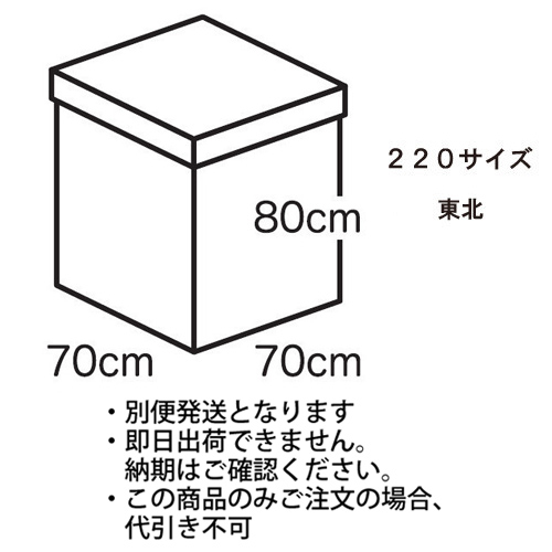 �������䢣�ե����ۥ磻�ȥܥå����祵������220�������ˡ����̡�TNK224082��10��