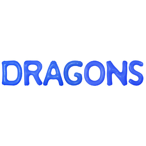 ݥåץ쥿Х롼Х塼åȡDRAGONS KIS25495
