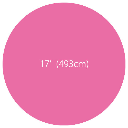 ��17'�����ܥХ롼�󡡥ԥ󥯡�TTK52786