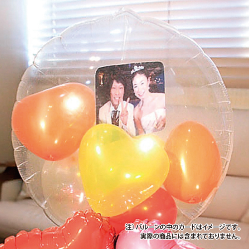 CRɥХ롼50 ̵(ۤʤHDI40004