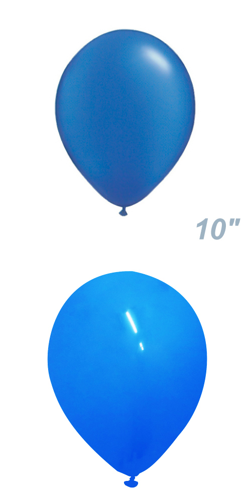 �����䢣�쥮��顼10"R���ե��󥻡�����ʥ롡�֥롼��FAN10000