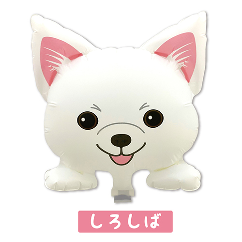 ߥˤ󤳥Х롼󡡤СYKH37624