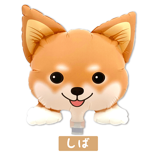 ߥˤ󤳥Х롼󡡤СYKH37625