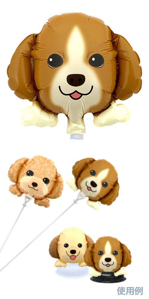 ߥˤ󤳥Х롼 켪  ӡ  YKH37643