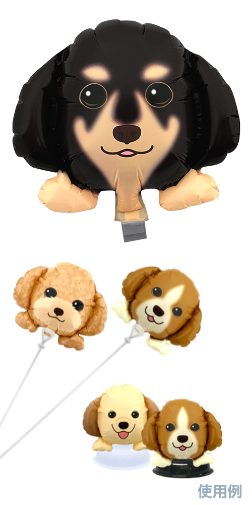 䢣ߥˤ󤳥Х롼 켪  å  YKH37644