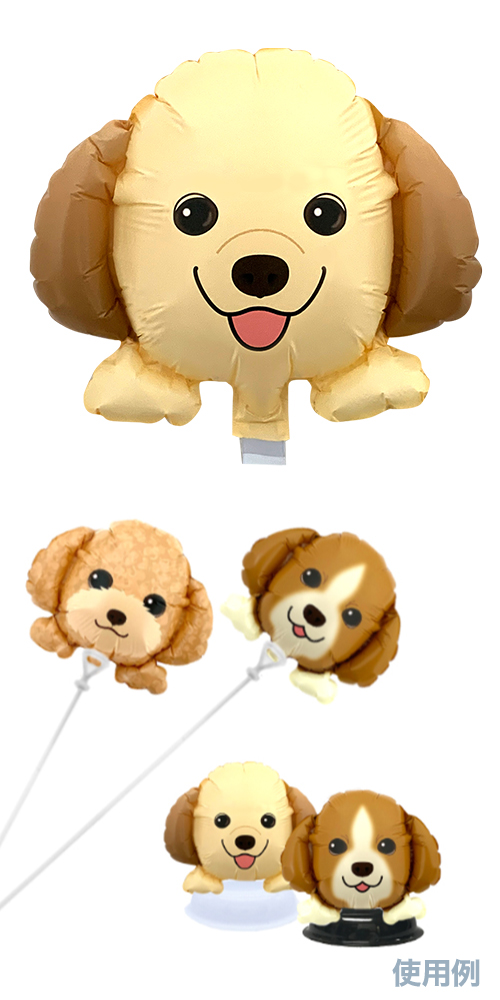 ߥˤ󤳥Х롼 켪  ǥ  YKH37645