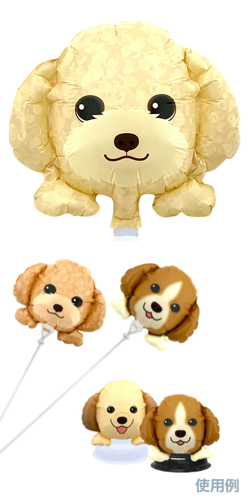 ߥˤ󤳥Х롼 켪  ꡼סɥ  YKH37646