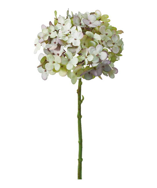 ɥ饤FA-7084-GR POY66546