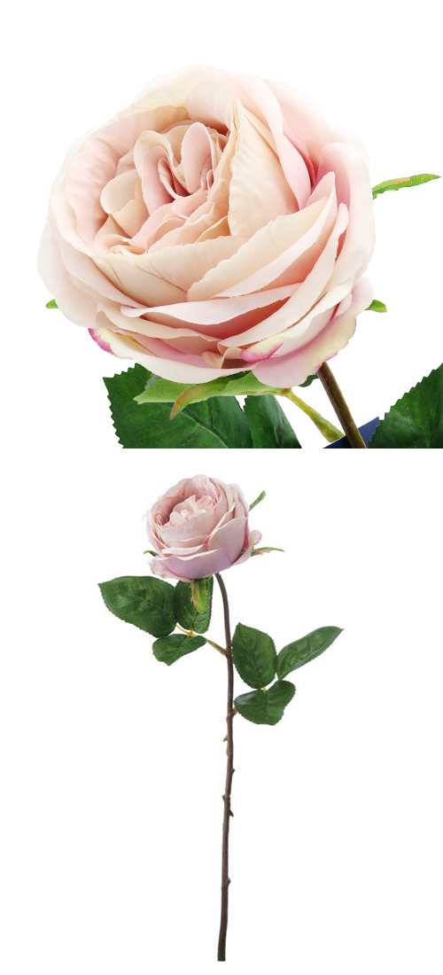 ɥ٥⡼FA-7165 POY67791