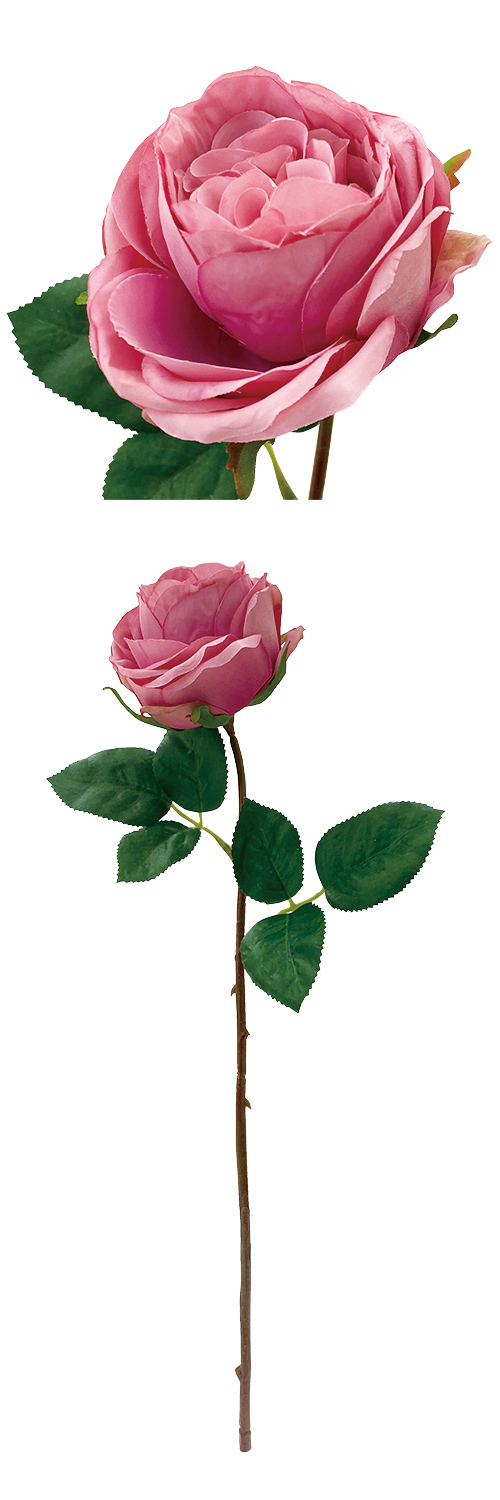 䢣ɥ  FA -7165 MAV POY67792