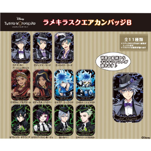 �������䢣�ǥ����ˡ� �ĥ����ƥåɥ��������ɡ���ᥭ�� ������������Хå�B ENSCH61028