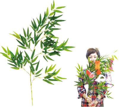 �����䢣������ SSGTB32910