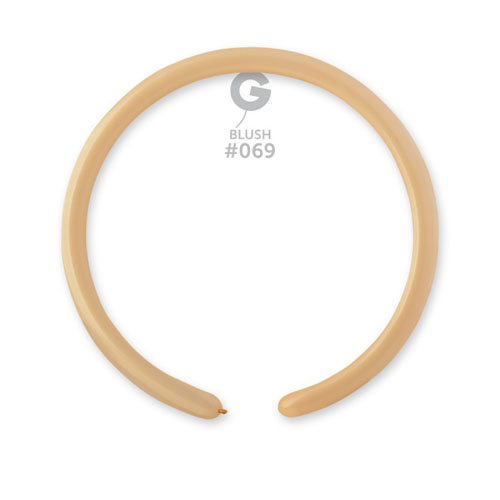 GM160G ֥å GEM21691