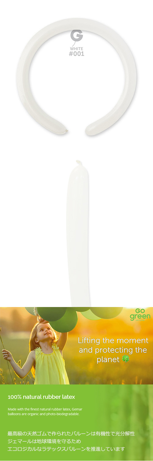 䢣ڥòGM260G ۥ磻 	 GEM55011