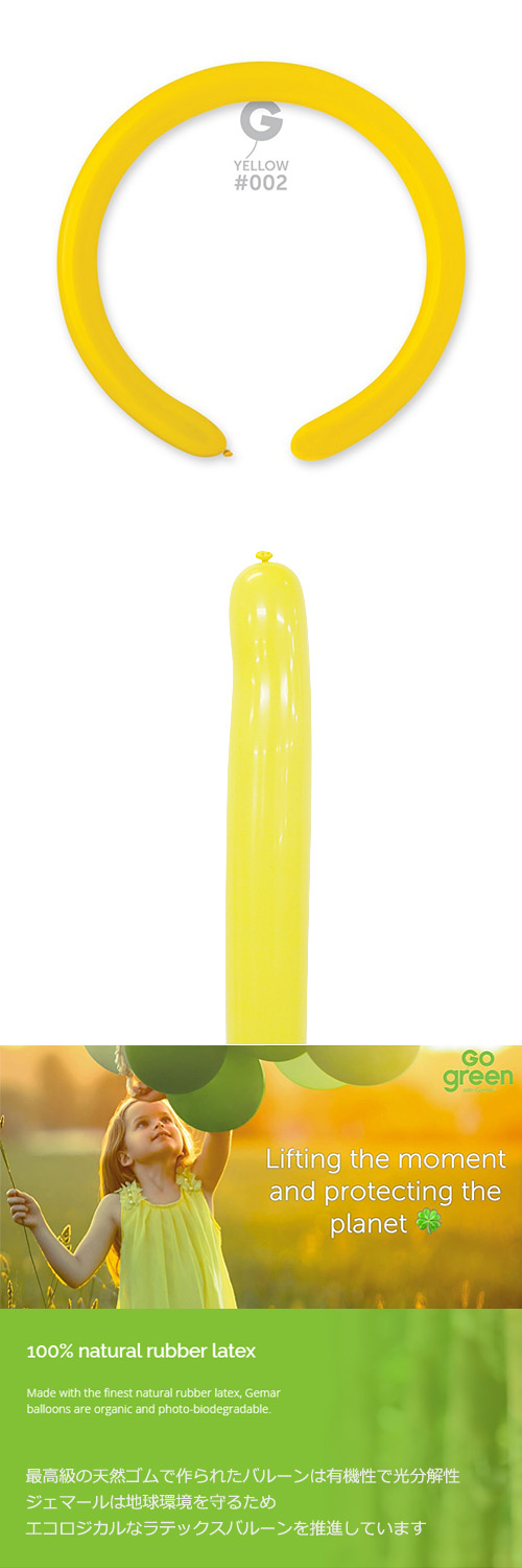 䢣ڥòGM260G   GEM55021