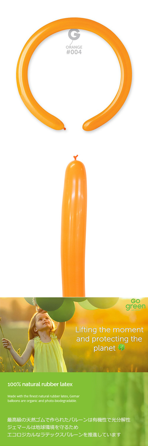 ߸˸¤ꢣGM260G  GEM55041