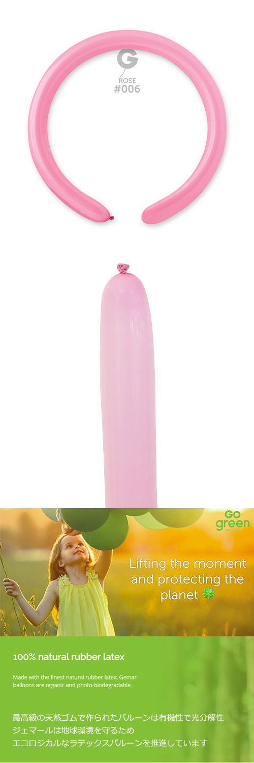 䢣ڥòGM260G   GEM55061