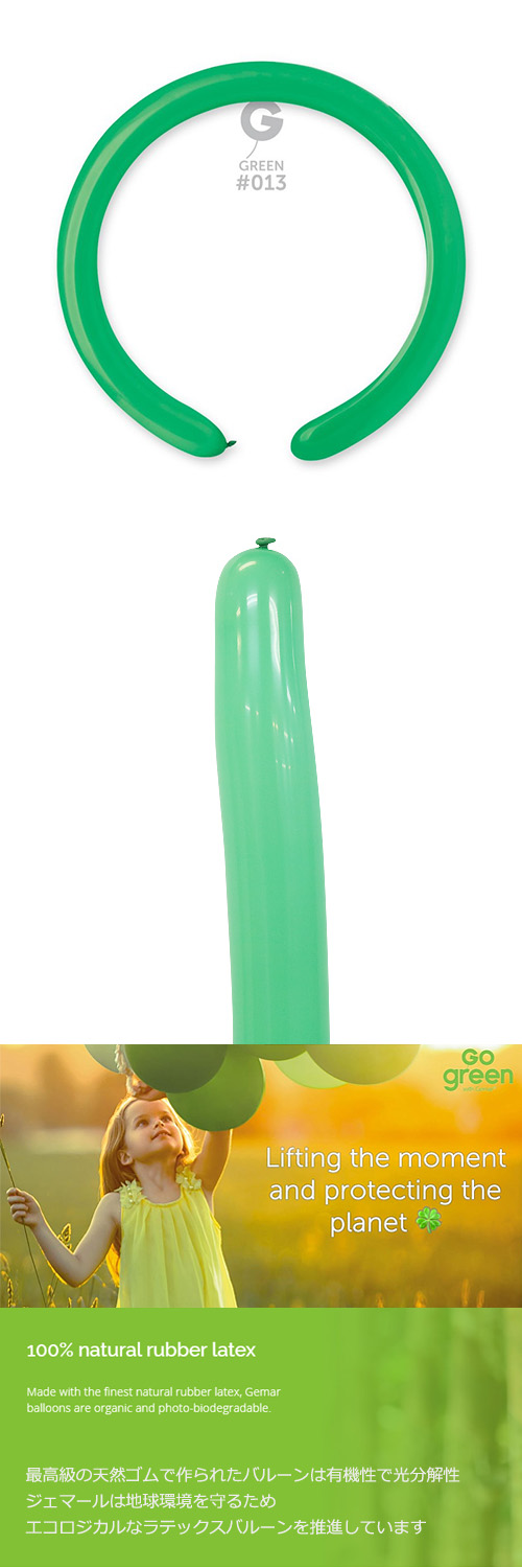 ߸˸¤ꢣGM260G ꡼ GEM55131