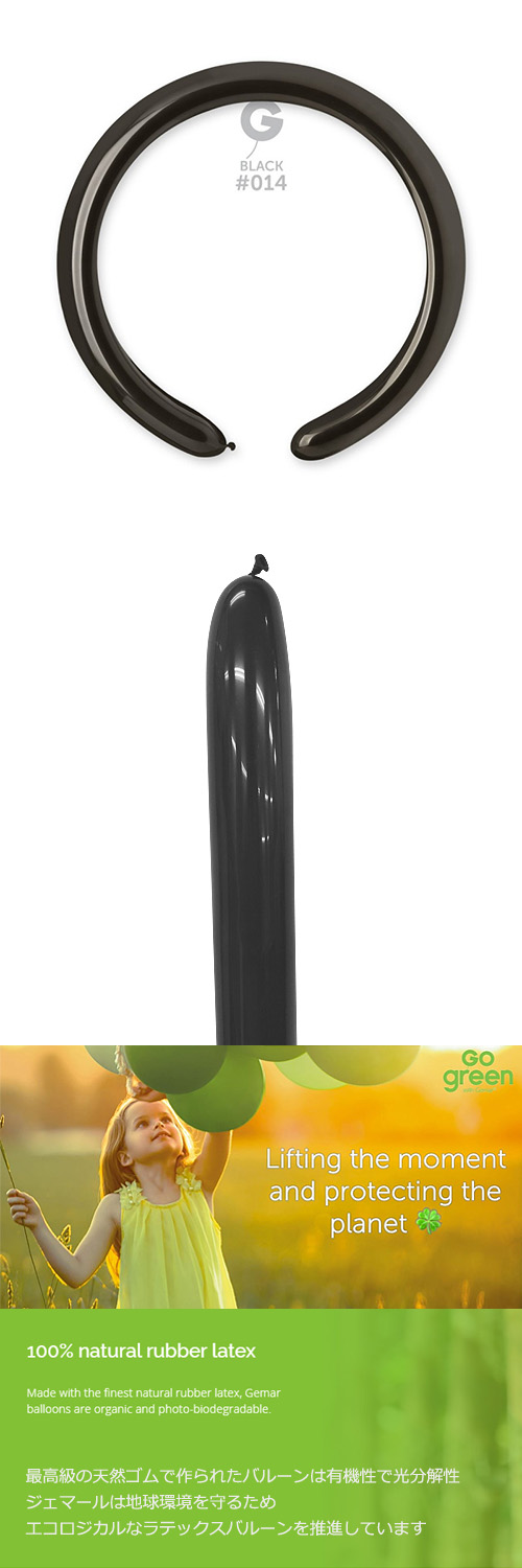 ߸˸¤ꢣGM260G ֥å GEM55141