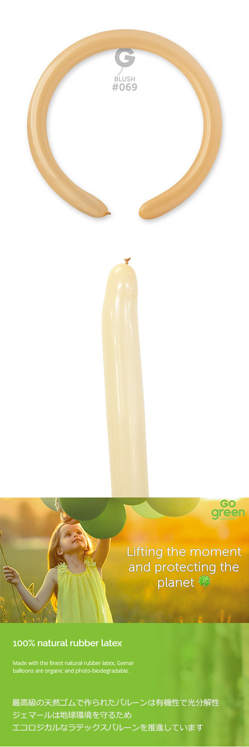 䢣ڥòGM260G ֥å  GEM55691