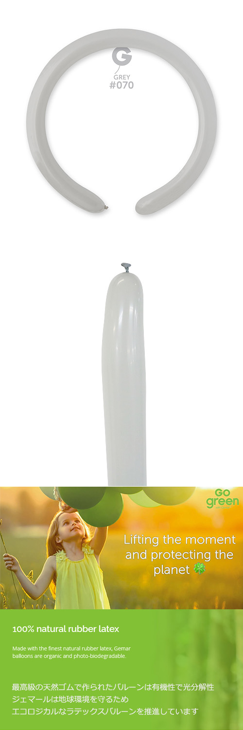 ߸˸¤ꢣGM260G 졼 GEM55701