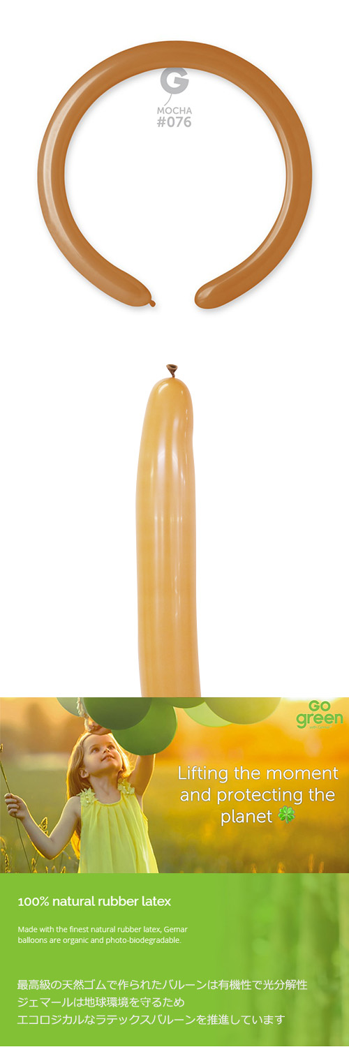 ߸˸¤ꢣGM260G ⥫ GEM55761